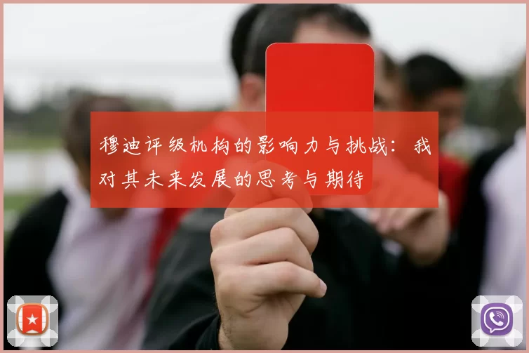 穆迪评级机构的影响力与挑战：我对其未来发展的思考与期待