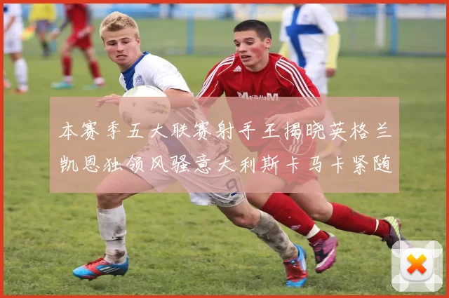 本赛季五大联赛射手王揭晓英格兰凯恩独领风骚意大利斯卡马卡紧随其后